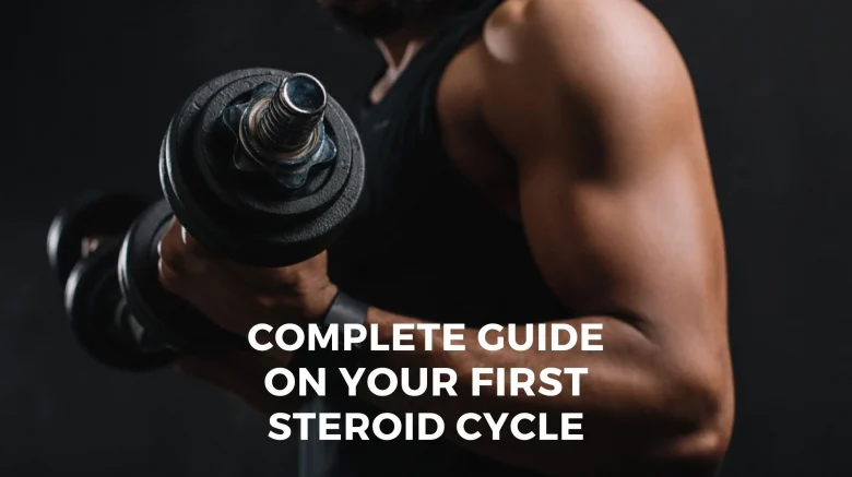 Steroids Cycle